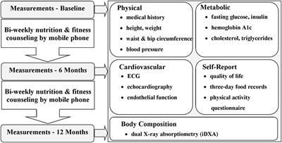 Remote Lifestyle Counseling Influences Cardiovascular Health Outcomes in Youth with Overweight or Obesity and Congenital Heart Disease